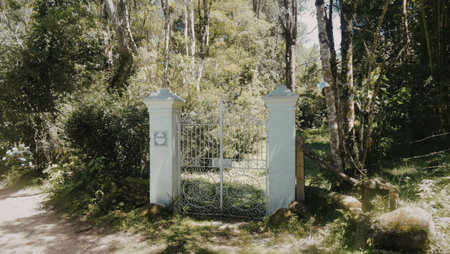 A white gate stands open amidst dense greenery, inviting entry into a serene forest area. The gate is flanked by two tall pillars, each topped with a decorative finial, and is surrounded by tall trees and bushes.の写真素材