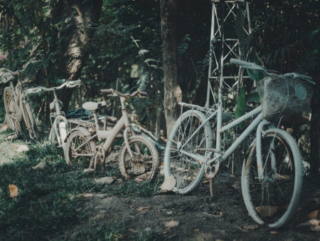 A serene scene of bicycles parked among trees and foliage in a wooded area.
