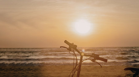A serene sunset over the ocean with a silhouette of a tree branch in the foreground.の写真素材
