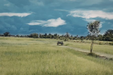A tranquil green field stretches out under a vast blue sky with scattered clouds. A small path winds through the grass, leading to a solitary tree standing tall in the distance.の写真素材