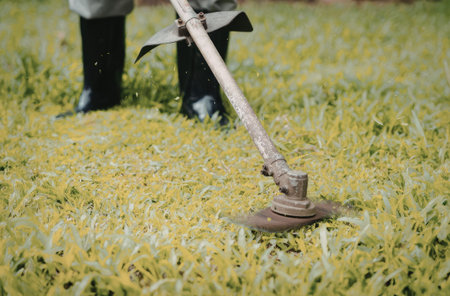 A person is mowing a lush green lawn using a manual lawn mower. The focus is on the mower and the...