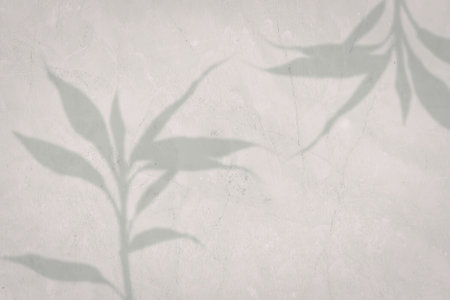 A serene image of delicate leaf shadows cast on a light-colored wall. The shadows create a calming...