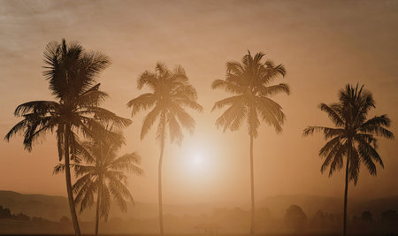 A serene sunset scene featuring the silhouettes of palm trees against a warm, golden sky. The sun is...