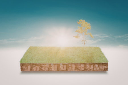 A single young tree stands on a patch of vibrant green grass, surrounded by rich brown soil. The sun shines brightly in the background, casting a warm glow over the scene.の写真素材