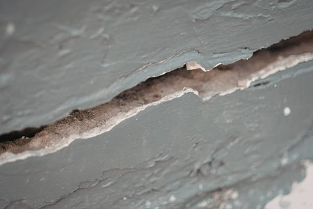A detailed close-up of a surface showing a prominent crack and peeling paint, highlighting the wear...