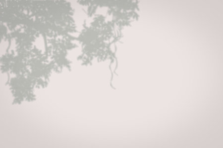A tranquil forest scene featuring a pathway surrounded by lush, green trees and foliage, creating a...