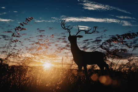 A striking silhouette of a deer standing against a vibrant sunset, with the sun partially obscured...