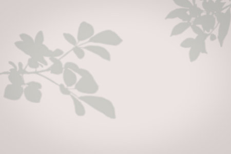 A delicate shadow of tree branches with leaves and small fruits, cast against a bright background.