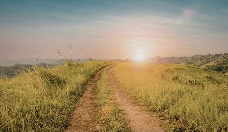 A tranquil dirt path stretches through lush green fields, leading towards a vibrant sunset. The sky is painted with hues of orange and blue, creating a peaceful and inviting atmosphere.の写真素材