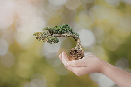 A delicate bonsai tree is held gently in a person's hand, showcasing its intricate branches and lush green foliage against a blurred green background.の写真素材