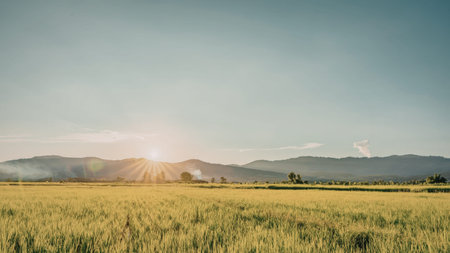 A serene landscape featuring a sunset over rolling green hills with distant mountains under a clear blue sky.の写真素材