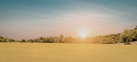 A serene image of a sunset over a calm landscape, with the sun partially obscured by trees in the...