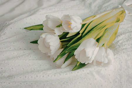 A close-up view of a bunch of white tulips with green leaves on a white textured surfaceの写真素材