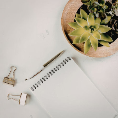 A minimalistic workspace setup featuring a succulent plant, a notebook, a pen, and two binder clips on a white surface.の写真素材