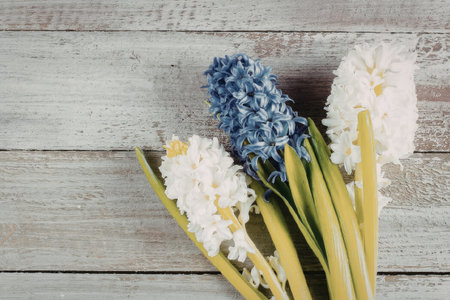 A bouquet of purple and white hyacinth flowers on a rustic wooden backgroundの写真素材