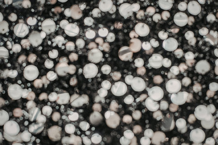 The image appears to be a close-up of numerous small, blurry dots in various shades of white, black, and light brown. The dots vary in size and are densely packed, creating a visually striking pattern.の写真素材