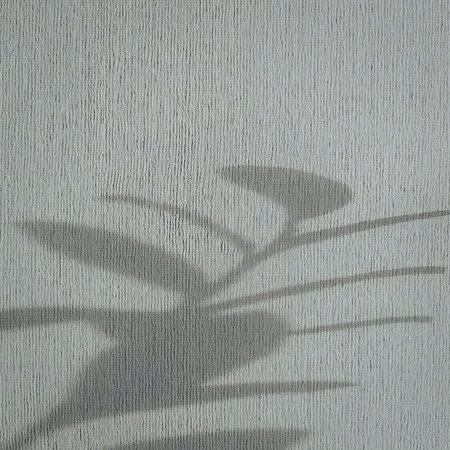 A close-up image of palm leaf shadows cast on a textured wall surfaceの写真素材