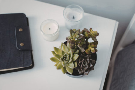 A small succulent plant in a pot on a white table with a black notebook and two candlesの写真素材