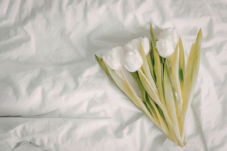 A bouquet of white tulips with green leaves on a crumpled white bed sheetの写真素材