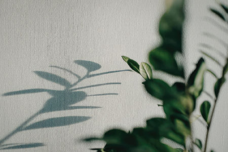 A close-up view of a plant's shadow on a textured wall with green leaves in the foreground.の写真素材