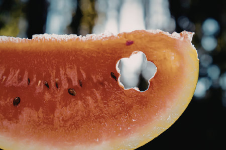 a close-up of a watermelon slice with a hole in itの写真素材