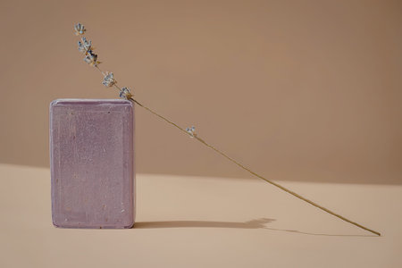 An image of a single stem of flowers placed beside a rectangular block on a plain surface.の写真素材