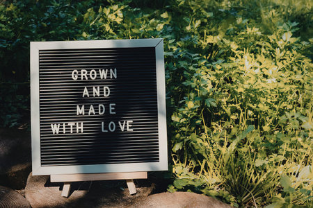 a black sign with white letters on a stone surface surrounded by green plantsの写真素材