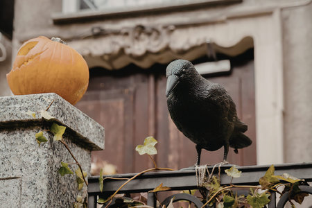 A black crow standing on a metal railing next to a stone pillar with a pumpkin on top, in front of a...