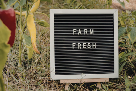 A sign reading 'Farm Fresh' stands in a garden with various plants and peppers.の写真素材