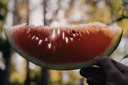 A hand holding a slice of watermelon with a natural background