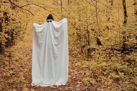 A person dressed as a ghost stands in an autumn forest