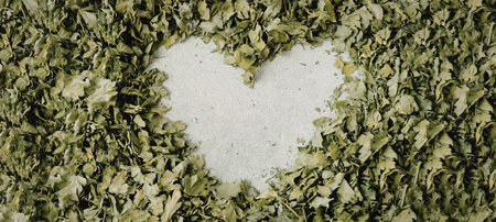 A heart shape formed by green leaves with a white backgroundの写真素材