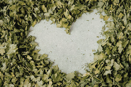 A heart shaped patch of white background surrounded by green leaves.の写真素材