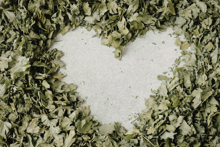 A heart shaped border made of green leaves surrounding a white backgroundの写真素材