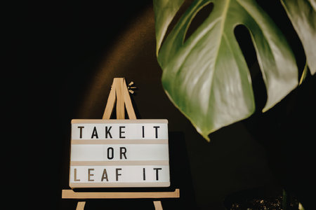 A lightbox on an easel with the message 'Take it or leaf it' next to a large green leaf.の写真素材