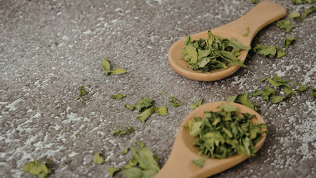 Two wooden spoons filled with fresh green herbs on a gray surfaceの写真素材
