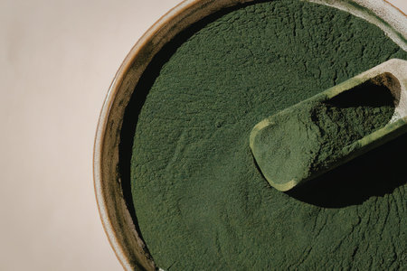 A bowl of green spirulina powder with a scoop on top, highlighting its vibrant color and texture.の写真素材