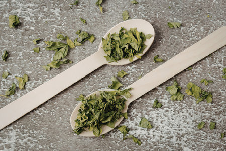 Two wooden spoons filled with chopped green herbs on a gray surfaceの写真素材