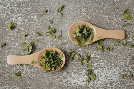 Two wooden spoons filled with chopped green herbs on a gray textured surface with scattered herbs around themの写真素材