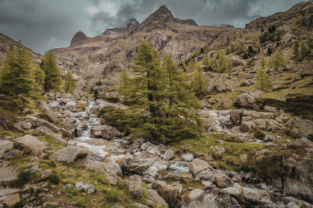 A serene mountain landscape featuring a stream flowing through large rocks and surrounded by...