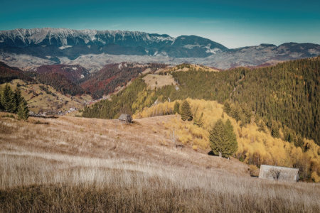 a scenic view of a mountain range with trees and a field
