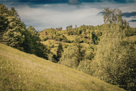 A picturesque landscape featuring rolling green hills and trees under a cloudy sky