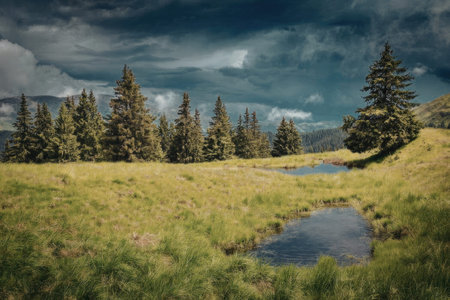 a small pond surrounded by lush green grass and tall evergreen trees under a cloudy sky