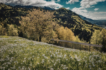 A picturesque landscape of a green meadow filled with white wildflowers, surrounded by trees and...