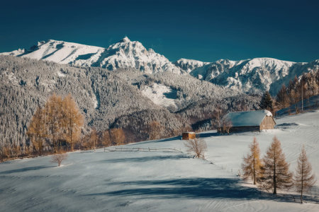 A serene winter scene featuring snow-covered trees and majestic mountains in the background under a...
