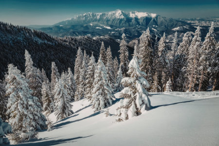 A serene winter scene featuring snow-covered evergreen trees in the foreground and a majestic...