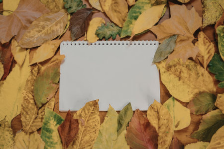 A spiral-bound notepad page with a torn edge sits on a vibrant background of colorful autumn leaves in shades of yellow, orange, green, and brown.の写真素材