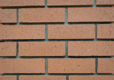 A close-up view of a red brick wall with a rough texture and gray mortar between the bricks.