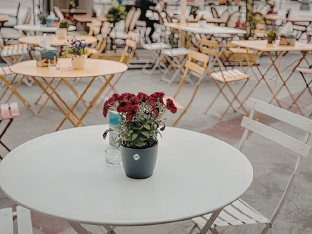 A serene outdoor cafe setting featuring a white table with a flower pot and red flowers, surrounded...
