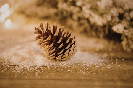 A pinecone sits on a snowy surface with a tree in the background, illuminated by warm light.